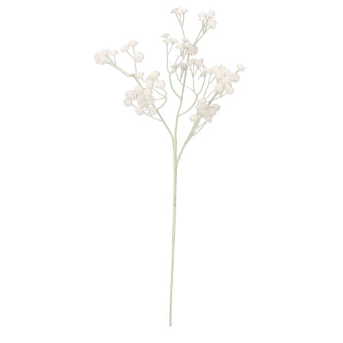 25097