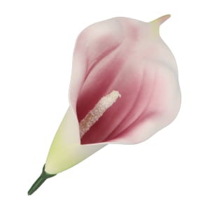 25069