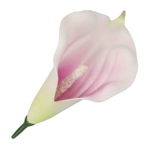 25072
