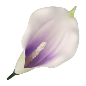 25073