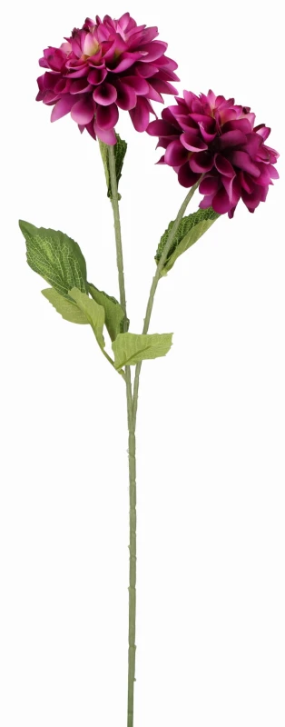 25619