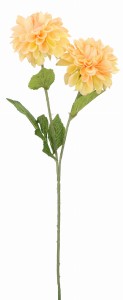 25620