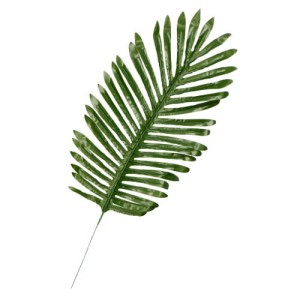 Liść palmy 63 cm 