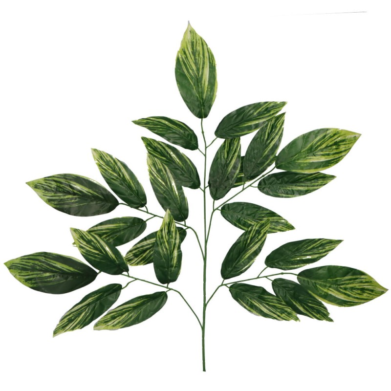 ASC20432 LIŚĆ_1.jpg