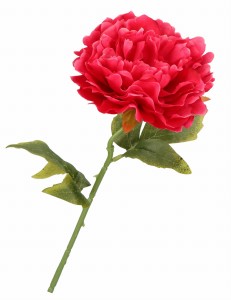 Kwiat sztuczny Piwonia chińska 50 cm AST23270