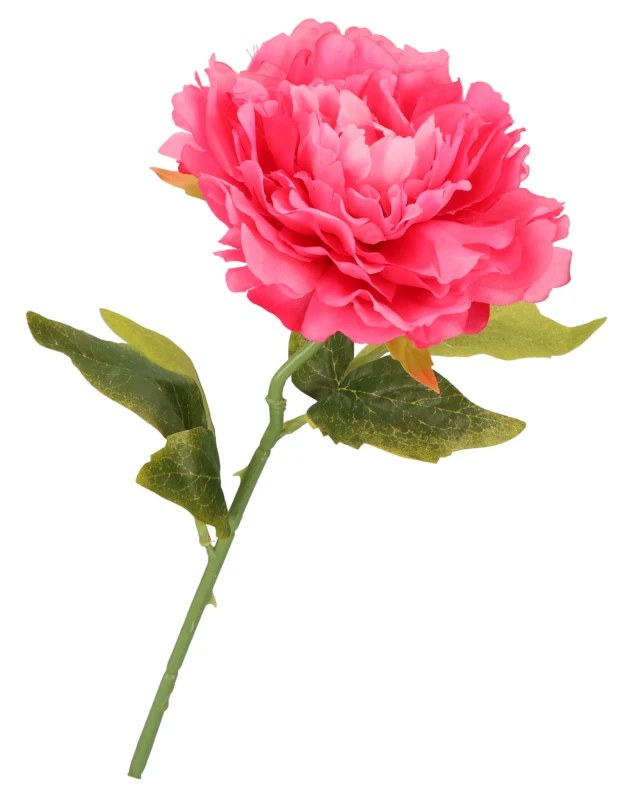 Kwiat sztuczny Piwonia chińska 50 cm AST23270 – zdjęcie 5