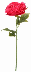 Kwiat sztuczny Piwonia chińska 50 cm AST23270 – zdjęcie 13
