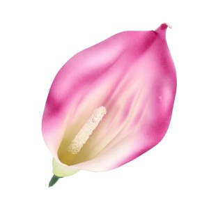 Kwiat sztuczny wyrobowy CALLA kalia ASC20408 Kolory