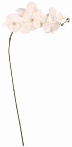 Kwiat sztuczny Storczyk gałązka 104 cm ASC23469 – zdjęcie 2