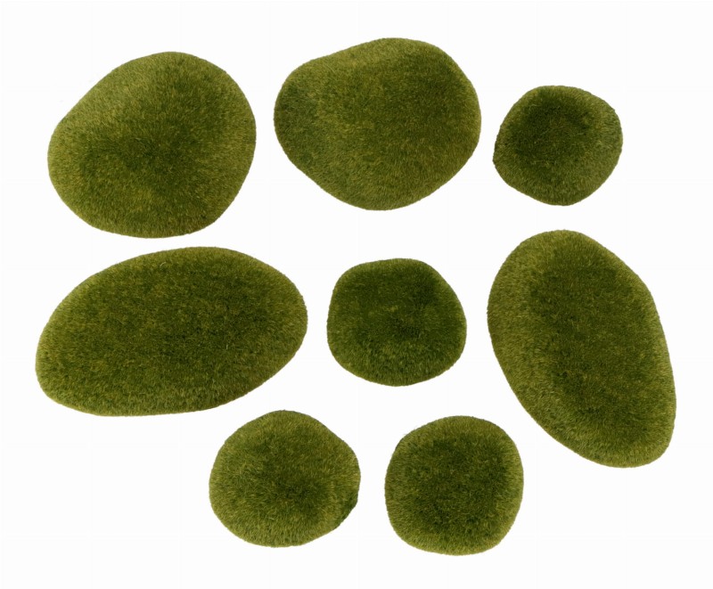 ASC23485 KAMIENIE OMSZAŁE_1.jpg