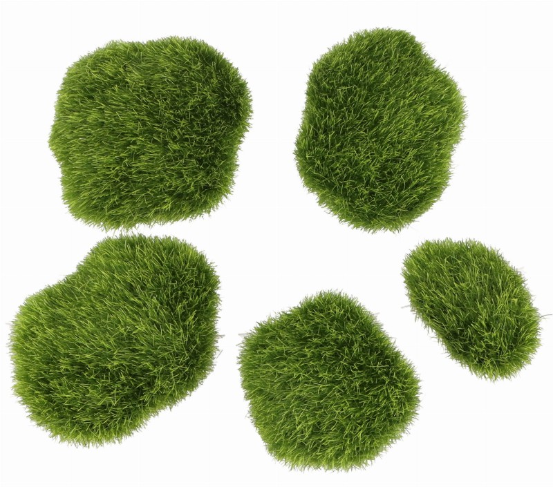 ASC23486 KAMIENIE OMSZAŁE_1.jpg