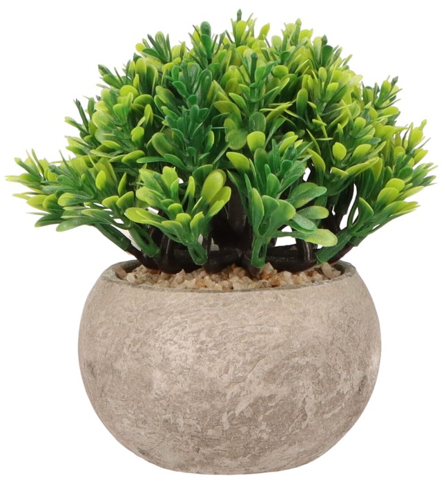 Roślina sztuczna w doniczce 13 cm AST23033 – zdjęcie 2