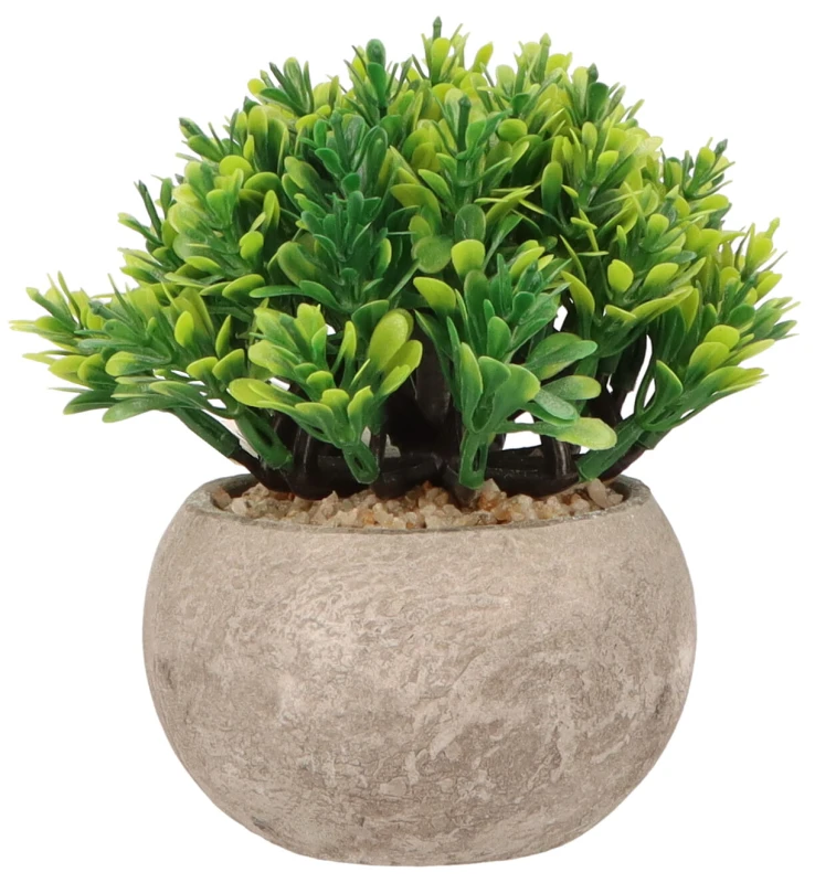 Roślina sztuczna w doniczce 13 cm AST23033 – zdjęcie 2
