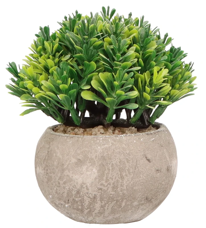 Roślina sztuczna w doniczce 13 cm AST23033 – zdjęcie 3