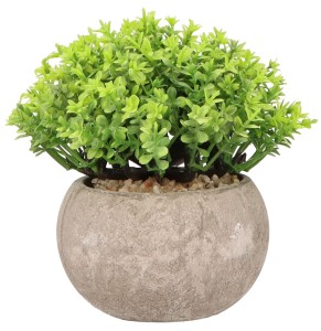 Roślina sztuczna w doniczce 13 cm AST23033 – zdjęcie 5