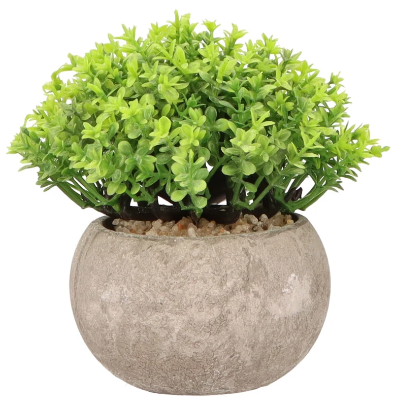 Roślina sztuczna w doniczce 13 cm AST23033 – zdjęcie 5