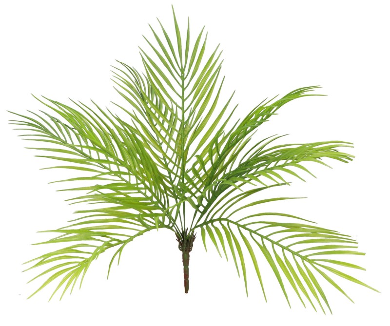 AST23198 ROŚLINA SZTUCZNA 24.01.2024_1.jpg