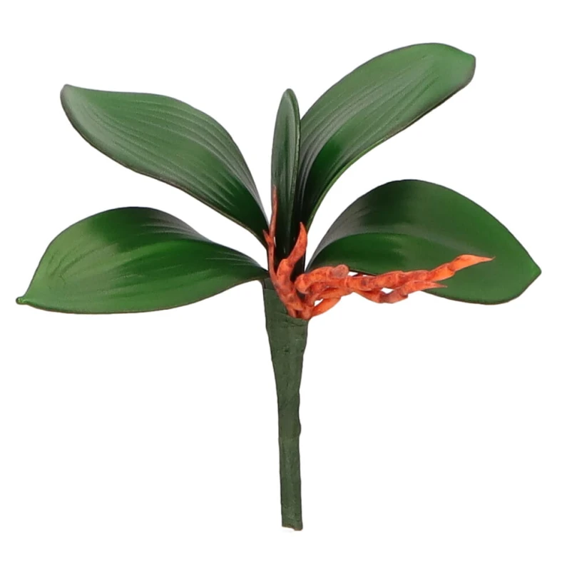 Liście storczyka 20 cm AST23233