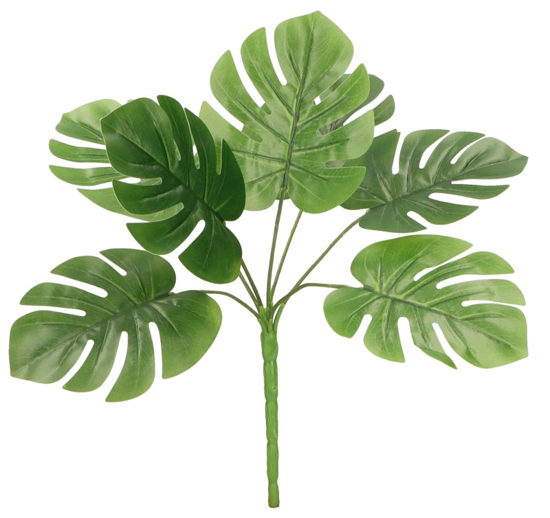 AST23240 ROŚLINA SZTUCZNA 24.01.2024_1.jpg