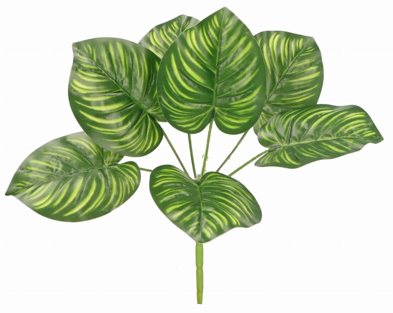 AST23242 ROŚLINA SZTUCZNA 24.01.2024_1.jpg