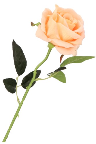 ASC19602 KWIAT SZTUCZNY_6.jpg