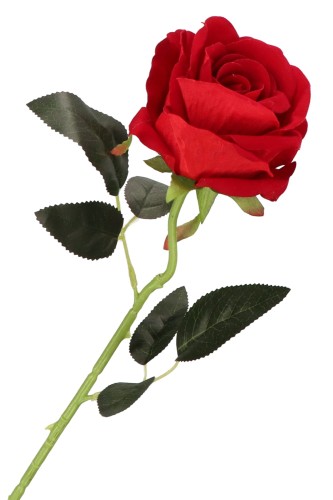 ASC19602 KWIAT SZTUCZNY_10.jpg