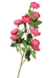 Kamelia gałązka 50 cm ASC20561-mix 6 kolorów