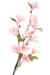 Kwitnąca gałązka Magnolia 90 cm ASC23400