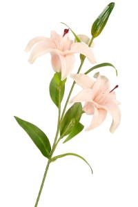 Kwiat sztuczny Lilia silikonowa 68 cm ASC23410