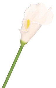 Kwiat sztuczny KALIA 35 cm AST23375