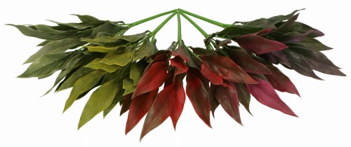 ASC240104 ROŚLINA SZTUCZNA_2.jpg