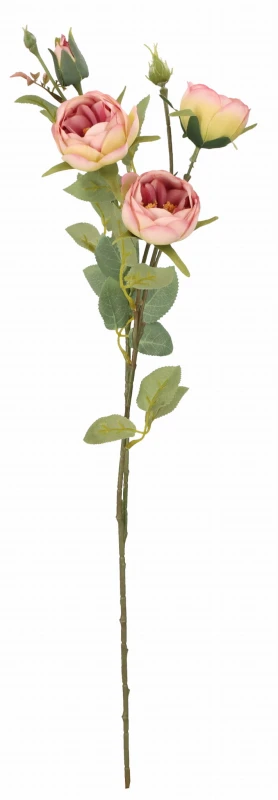 ASC23320-8 KWIAT 60CM_1.jpg