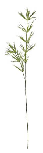 AST23101 ROŚLINA SZTUCZNA.png