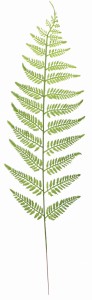Liść paproci 68cm ASC240123-1