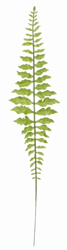 Liść paproci 50cm ASC240183