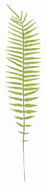 Liść paproci 53cm ASC240182