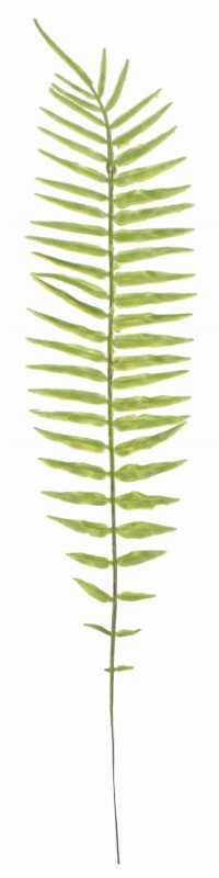 ASC240182 LIŚĆ JESIEŃ24 53CM_1.jpg