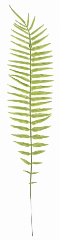 Liść paproci 53cm ASC240182