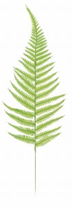 Liść paproci 40cm ASC240118