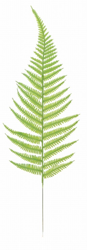 ASC240118 LIŚC 40CM_1.jpg