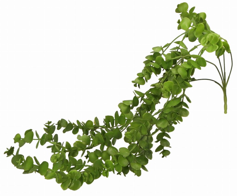 AST23193 ROŚLINA 73CM_1.jpg