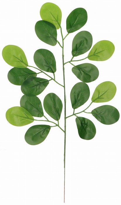 Liść eukaliptusa sztuczny zielony 48 cm AST232201