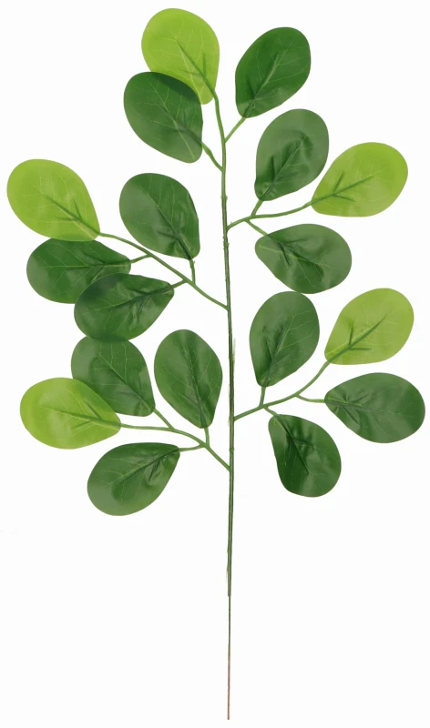 Liść eukaliptusa sztuczny zielony 48 cm AST232201