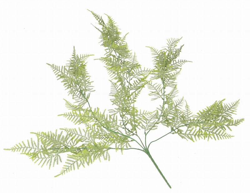 ASC240062 ROŚLINA SZTUCZNA_1.jpg