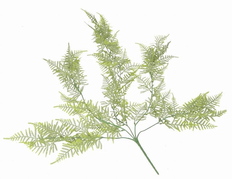 Gałązka paproci zwisająca 80cm ASC240062