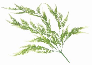 Gałązka sztuczna paproci 80cm ASC240076-4