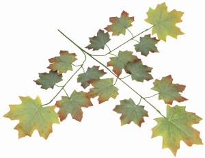 Gałązka jesiennych liści 67cm ASC24391
