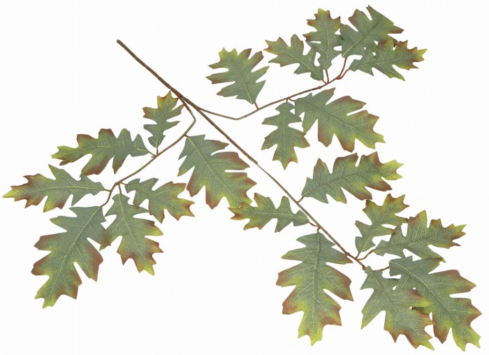 Gałązka sztucznych jesiennych liści 67cm ASC24382