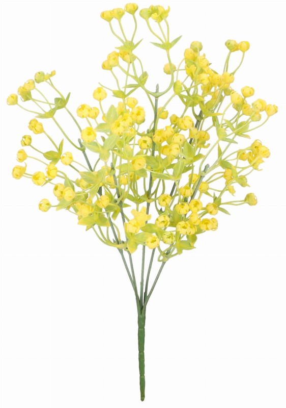 AST231813 ROŚLINA 34CM 20.08.2024_1.jpg