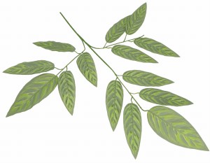 Gałązka sztucznych liści 68cm ASC24400